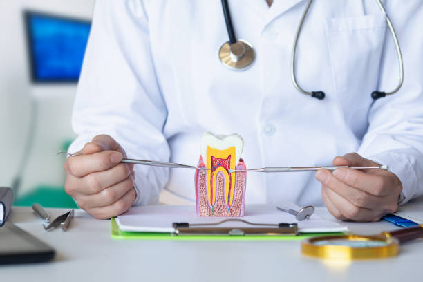 Best Emergency Dentist for Knocked-Out Tooth in Dudley, NC